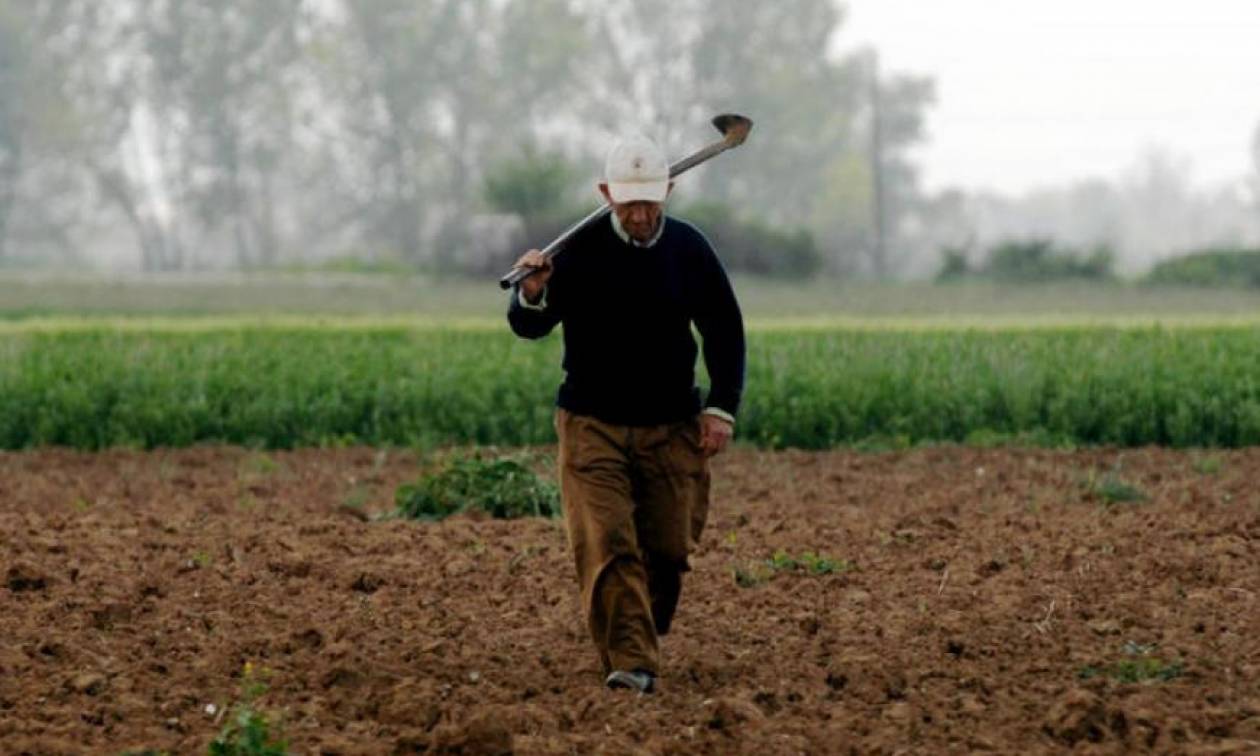 ΕΛΓΑ: Πότε καταβάλλεται εκκαθάριση της αποζημίωσης για τις ζημιές του 2017