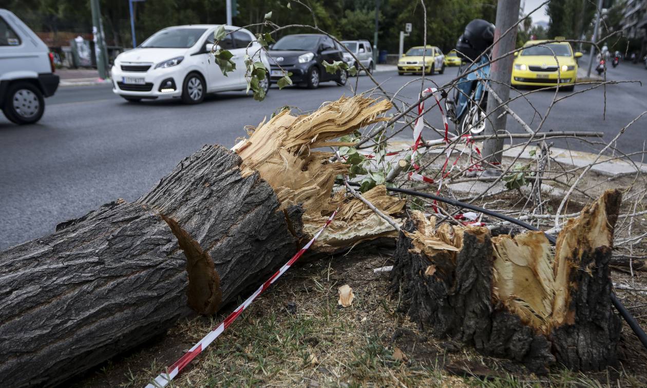 Πώς να προστατευτείτε από καταιγίδα και θυελλώδεις ανέμους