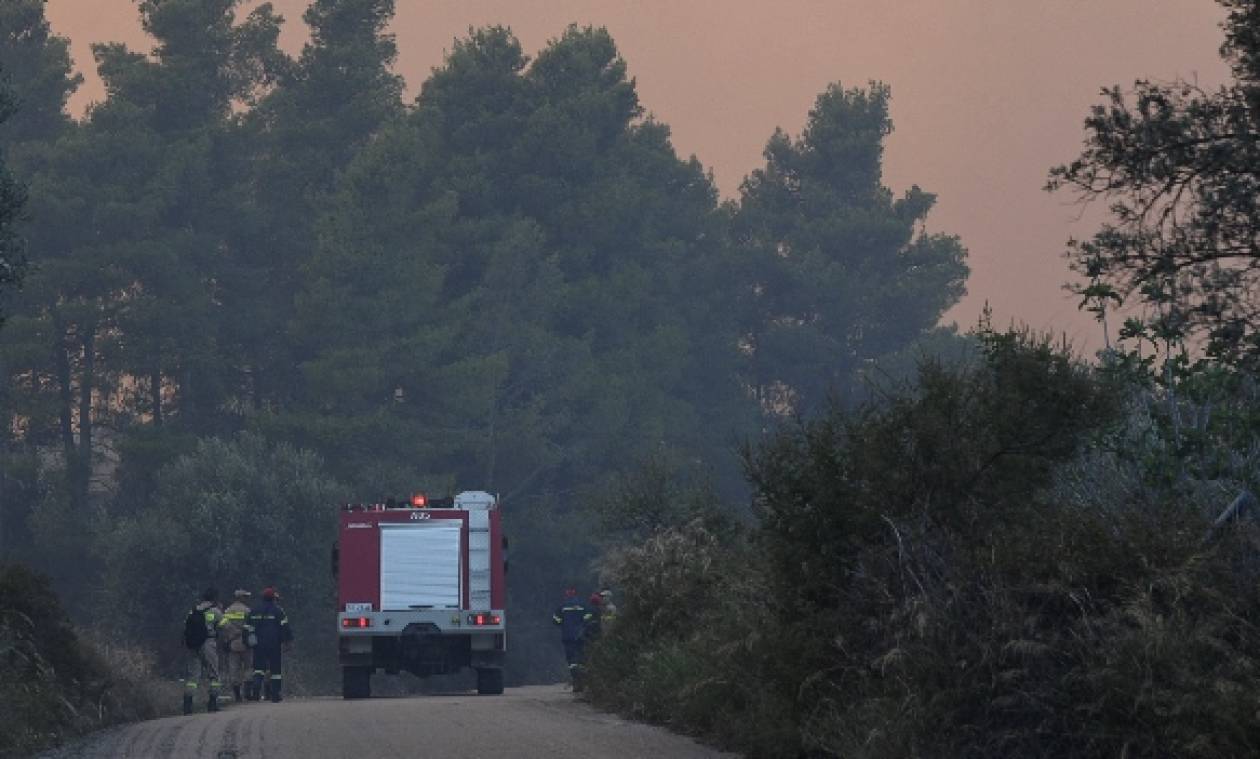 Μεγάλη φωτιά στην Ηλεία