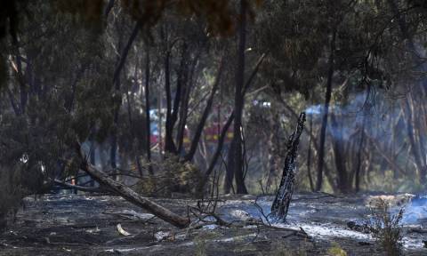 Αντιμέτωπη με ξηρασία και πυρκαγιές η Αυστραλία