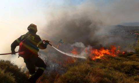 Συναγερμός στην Πυροσβεστική: Μεγάλη πυρκαγιά στην Κέρκυρα - Εκκενώθηκε οικισμός