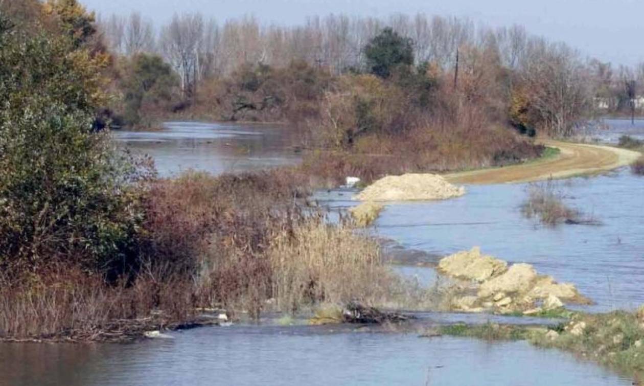 Τριπλό έγκλημα στον Έβρο: Σοκάρουν τα ευρήματα του ιατροδικαστή