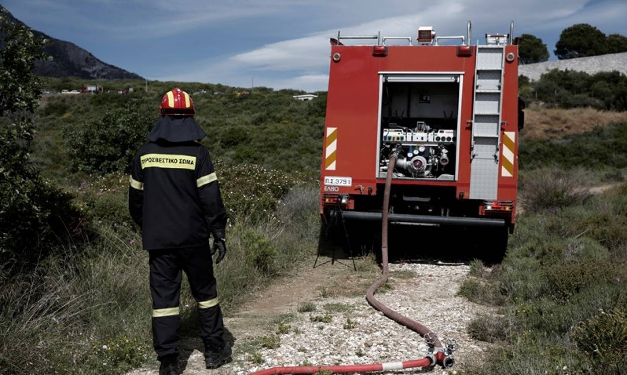 Συναγερμός για φωτιά στη Χαλκιδική: Εκκενώθηκε παιδικός σταθμός