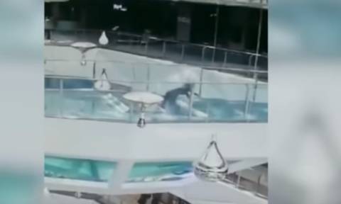 Τρόμος στο νερό: Γυναίκα έπεσε σε δεξαμενή γεμάτη καρχαρίες την ώρα που τους τάιζαν (video)