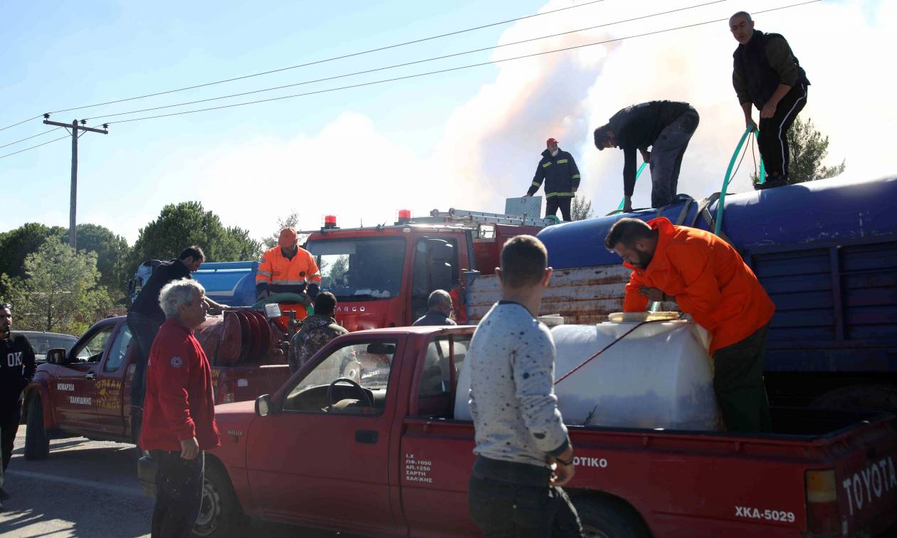 Φωτιά στη Σιθωνία Χαλκιδικής: Υπό έλεγχο η πυρκαγιά