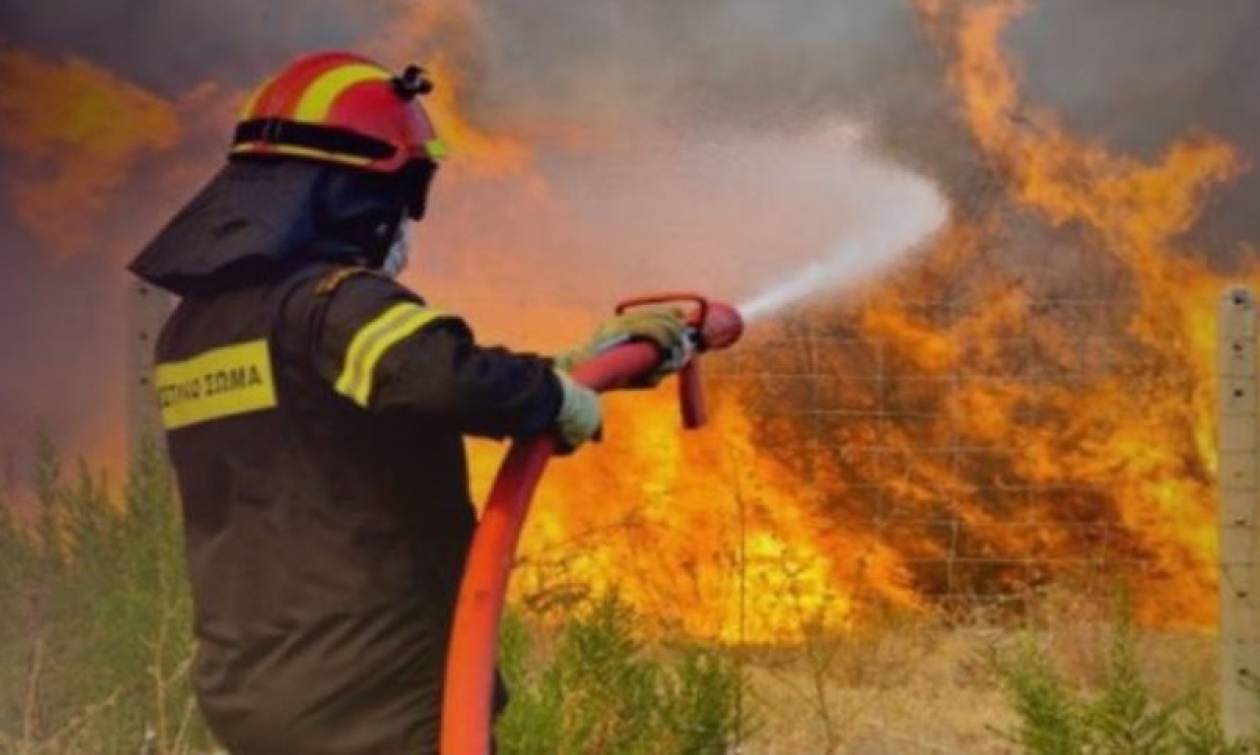 Ραγίζει καρδιές η χήρα του πυροσβέστη Σάβαρρη - «Μόνο όταν τους ξεχνάς φεύγουν…»