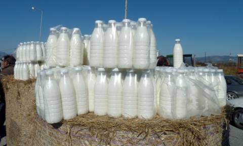 Μεγάλες αλλαγές στην αγορά γάλακτος: Τι πρέπει να προσέξουν παραγωγοί και αγοραστές
