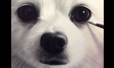 Το πιο ρεαλιστικό πορτρέτο σκύλου που έχετε δει (vid)