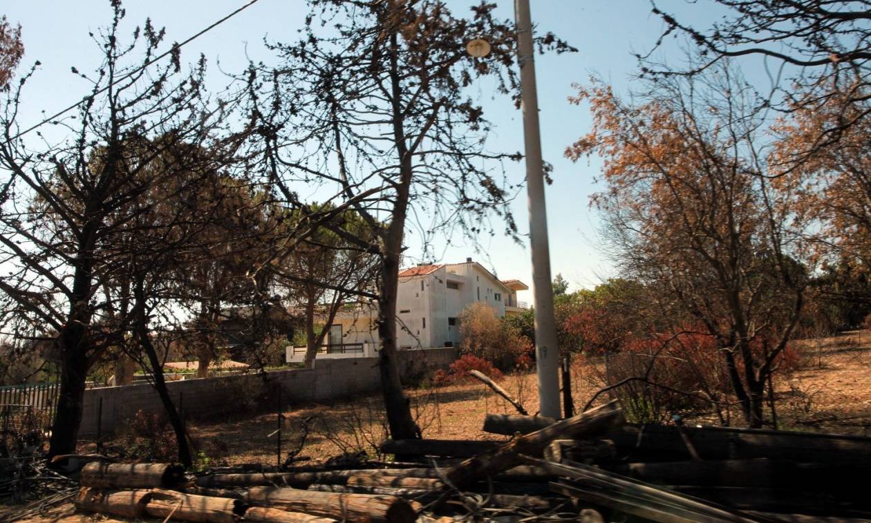 Μετεγγραφές φοιτητών: Ξεκινούν την Τετάρτη (21/11) οι αιτήσεις των πυρόπληκτων φοιτητών