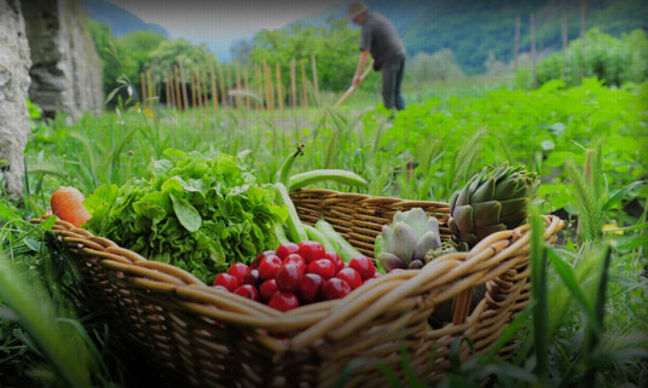 Πότε και πόσα χρήματα θα δοθούν για τη βιολογική γεωργία