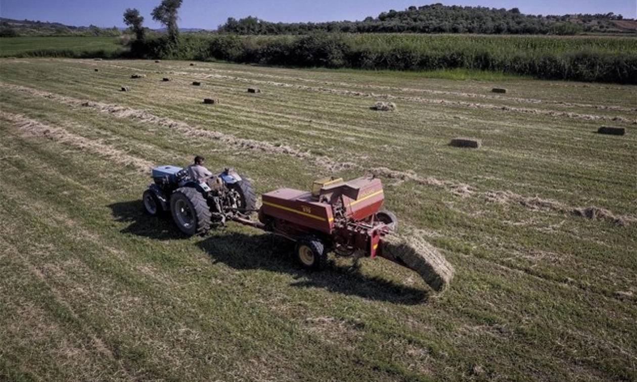 ΕΛΓΑ: Πότε θα πληρωθεί το υπόλοιπο 10% των αποζημιώσεων του 2017