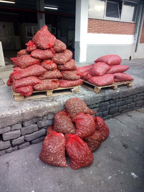 Καβάλα: Κατασχέθηκαν 750 κιλά όστρακα ακατάλληλα για κατανάλωση – Συνελήφθη 52χρονος