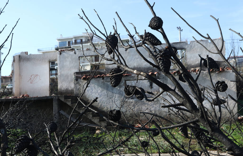 Μάτι: Έρημη πόλη έξι μήνες μετά τη φονική πυρκαγιά με τους 100 νεκρούς (pics)