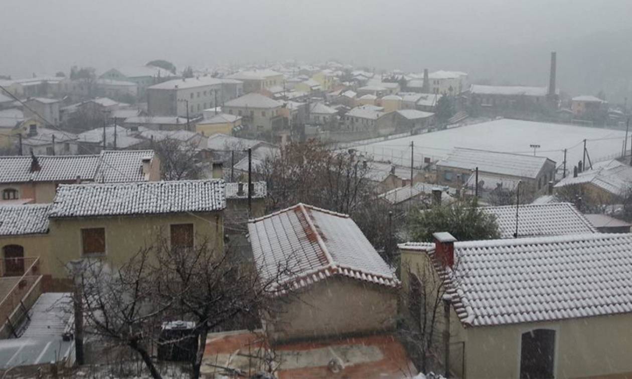 Καιρός: Στα λευκά η Μυτιλήνη - Σε συναγερμό οι υπηρεσίες του Δήμου (pics)