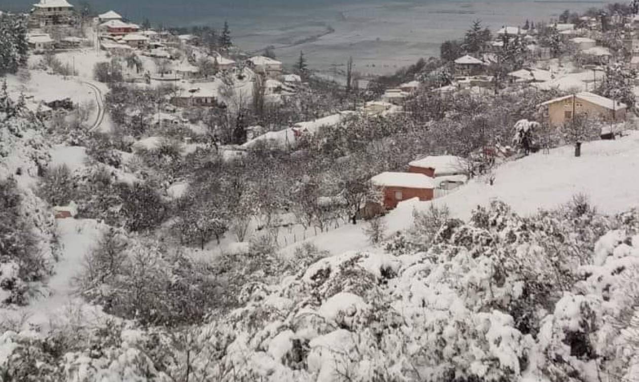 Καιρός: Εκπληκτικές εικόνες από τον χιονισμένο Δομοκό (pics)