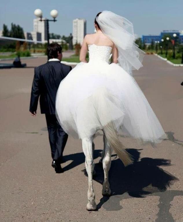 Το σωστό κλικ τη λάθος στιγμή: Η νύφη με τα πόδια αλόγου και τα αλλόκοτα πλάσματα του «άλλου» κόσμου