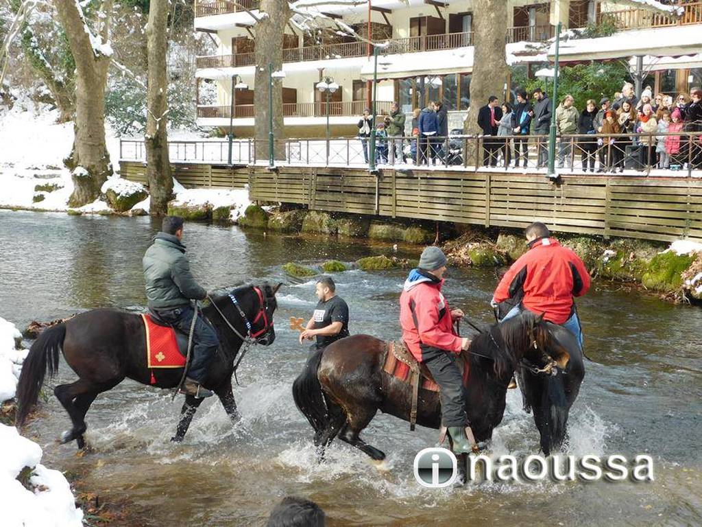 Θεοφάνεια: Με άλογα στον αγιασμό των υδάτων στη Νάουσα (pics)