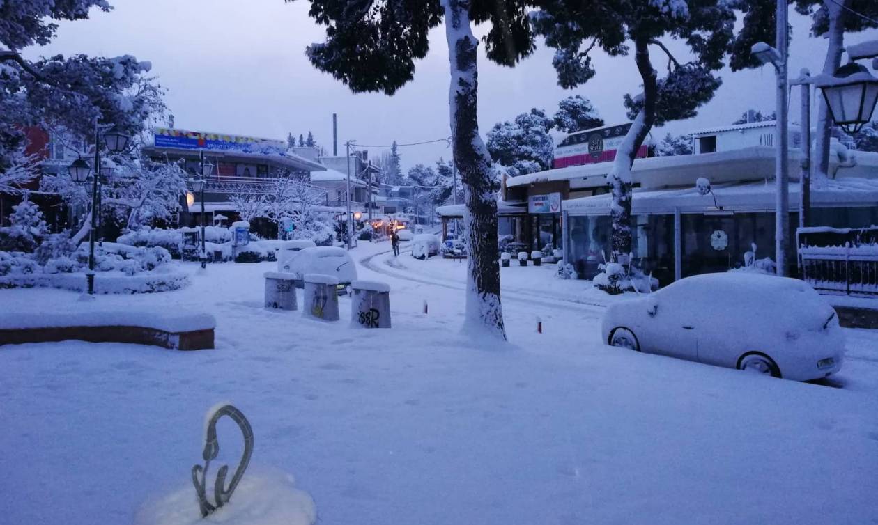 Καιρός: Στα λευκά όλη η Αθήνα - Υπέροχες εικόνες από τη χιονισμένη πρωτεύουσα