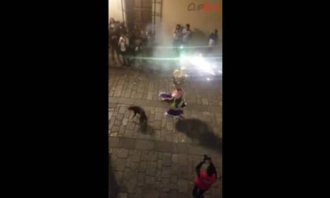 Αδέσποτος σκύλος κλέβει την παράσταση σε φεστιβάλ με πυροτεχνήματα (vid)