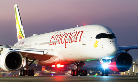 Συνετρίβη αεροσκάφος της Ethiopian Airlines με 157 επιβάτες (pics + vid)