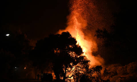 Φωτιά ΤΩΡΑ: Μεγάλη πυρκαγιά στην Κύμη Ευβοίας