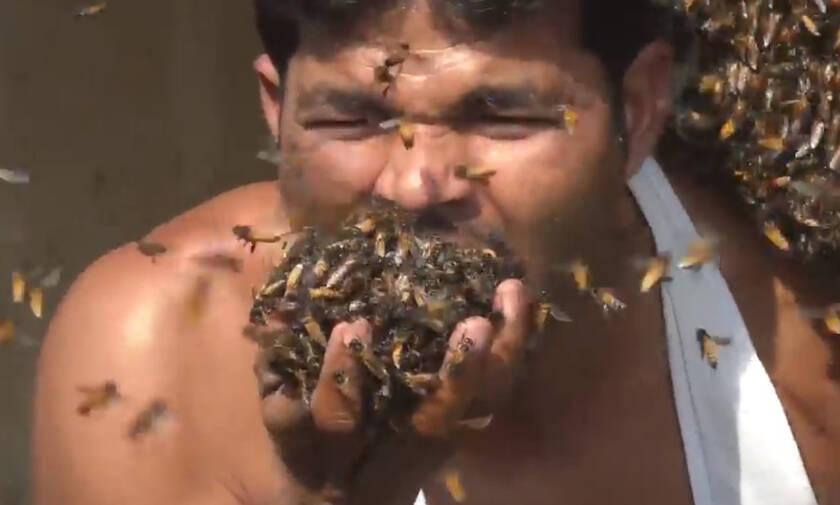 Τρομακτικό! Βάζει χιλιάδες μέλισσες στο στόμα του μαζεύοντας μέλι (vid)
