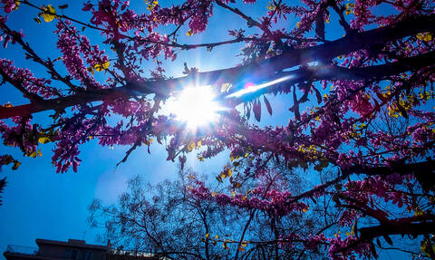 Καιρός 25ης Μαρτίου – Αρνιακός: Με ήλιο, αλλά και θυελλώδεις ανέμους οι παρελάσεις – Πού θα βρέξει