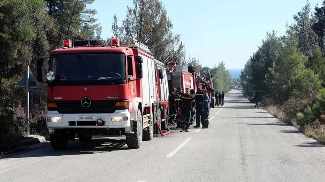 Î—Î»ÎµÎ¯Î±: Î£Îµ ÏÏ†ÎµÏƒÎ· Î· Ï†Ï‰Ï„Î¹Î¬ ÏƒÏ„Î¿ Ï€ÏÎ¿ÏƒÏ„Î±Ï„ÎµÏ…ÏŒÎ¼ÎµÎ½Î¿ Î´Î¬ÏƒÎ¿Ï‚ Ï„Î·Ï‚ Î£Ï„ÏÎ¿Ï†Ï…Î»Î¹Î¬Ï‚