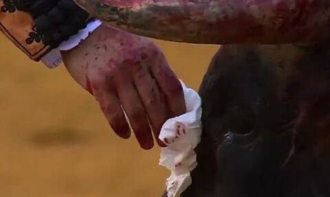 Ταυρομάχος σκουπίζει το αίμα από πληγωμένο ταύρο πριν τον σκοτώσει και προκαλεί σάλο (pics+vid)