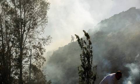 Άργος πυρκαγιά: Σε συναγερμό ισχυρές δυνάμεις της πυροσβεστικής