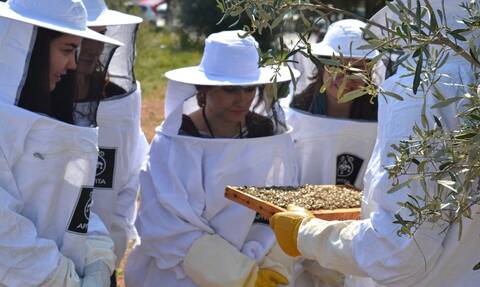 APIVITA: Θεσμός η Παγκόσμια Ημέρα Μέλισσας