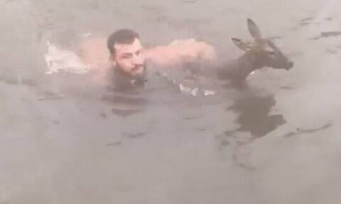 Ρίσκαρε την ζωή του για να σώσει ελάφι σε παγωμένο ποτάμι! (pics+vid)