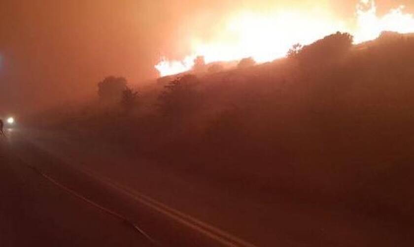 Εφιαλτική νύχτα στην Κάρυστο: Χωρίς ενεργό μέτωπο η φωτιά - Εκκενώθηκαν σπίτια