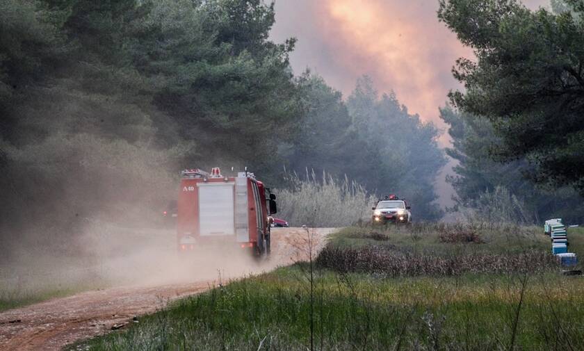Πυρκαγιά σε δασική έκταση στην περιοχή Μαζαράκι Πηνείας