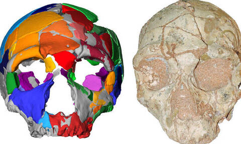 Ανακαλύφθηκε στην Ελλάδα το αρχαιότερο εύρημα Homo sapiens στην Ευρασία