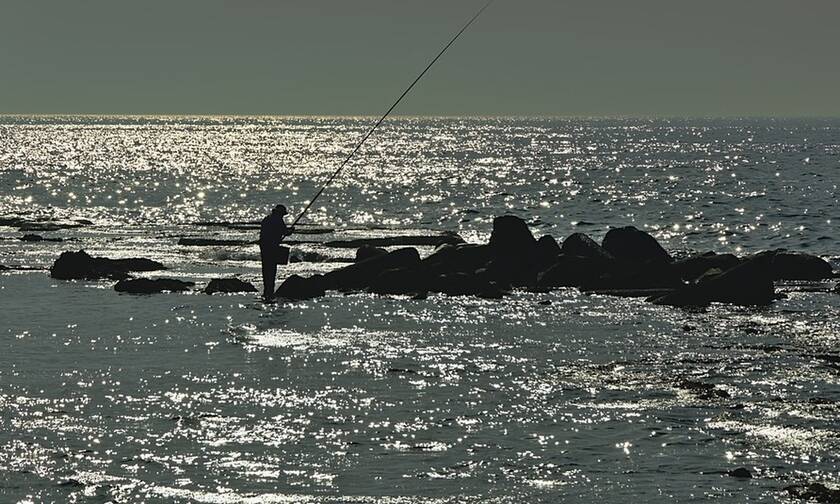 Κρήτη: Εφιάλτης για ψαρά - Σήκωσε τα δίχτυα και αντίκρισε τον τρόμο