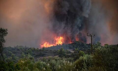 Φωτιά ΤΩΡΑ: Μεγάλη πυρκαγιά στο Μαρτίνο Φθιώτιδας