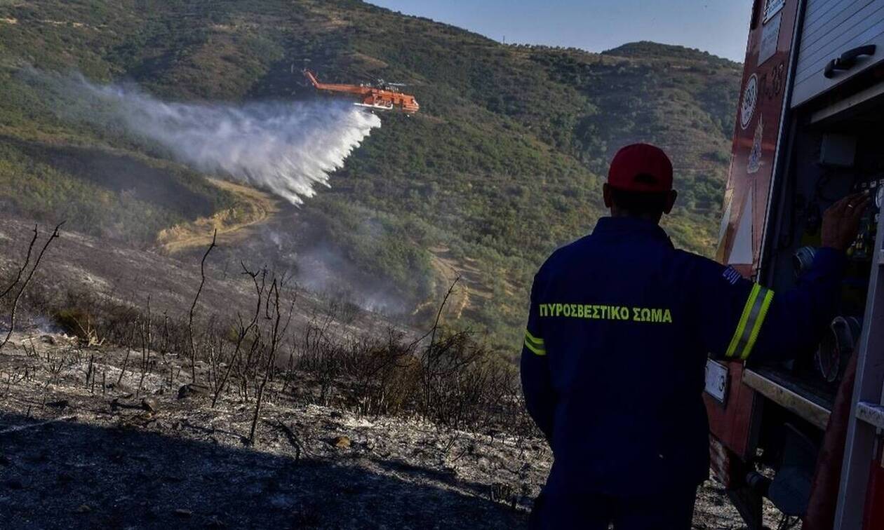 Î¦Ï‰Ï„Î¹Î¬ Î¤Î©Î¡Î‘ ÏƒÏ„Î¿ Î”Î¹ÏŒÎ½Ï…ÏƒÎ¿ Î‘Ï„Ï„Î¹ÎºÎ®Ï‚ 