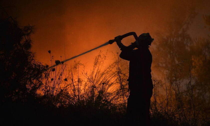 Φωτιά ΤΩΡΑ στην Πέλλα: Πυρκαγιά στην περιοχή Μάνδαλο (ΧΑΡΤΗΣ)
