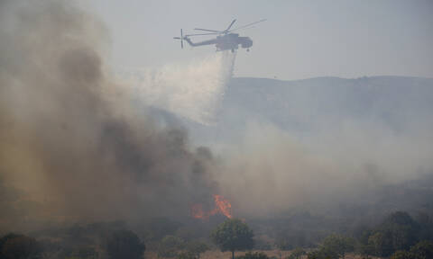 Φωτιά τώρα: Τεράστια οικολογική καταστροφή στην Ελαφόνησο - 63 πυρκαγιές μέσα σε ένα 24ώρο