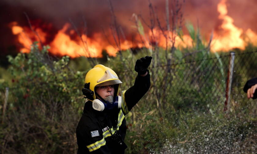 Φωτιά ΤΩΡΑ στη Βοιωτία: Πυρκαγιά στον Πρόδρομο Θήβας (ΧΑΡΤΗΣ)