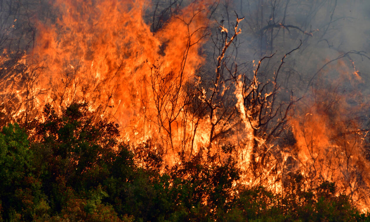 Φωτιά ΤΩΡΑ: Δείτε LIVE που έχει πυρκαγιές σε όλη την Ελλάδα - Newsbomb -  Ειδησεις - News