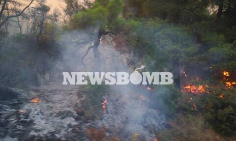 Φωτιά Εύβοια: Δήμαρχος Μεσσαπίων στο Newsbomb.gr – Έρχεται η φωτιά στα Ψαχνά (vid)