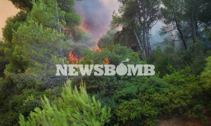 Εύβοια: Η εικόνα από τη φωτιά που προκαλεί ανατριχίλα 