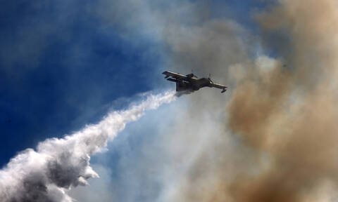 Φωτιά Εύβοια: Συνεχίζει να καίει η πύρινη λαίλαπα -Μεγάλη αναζωπύρωση μεταξύ Μακρυμάλλη και Πλατανιά