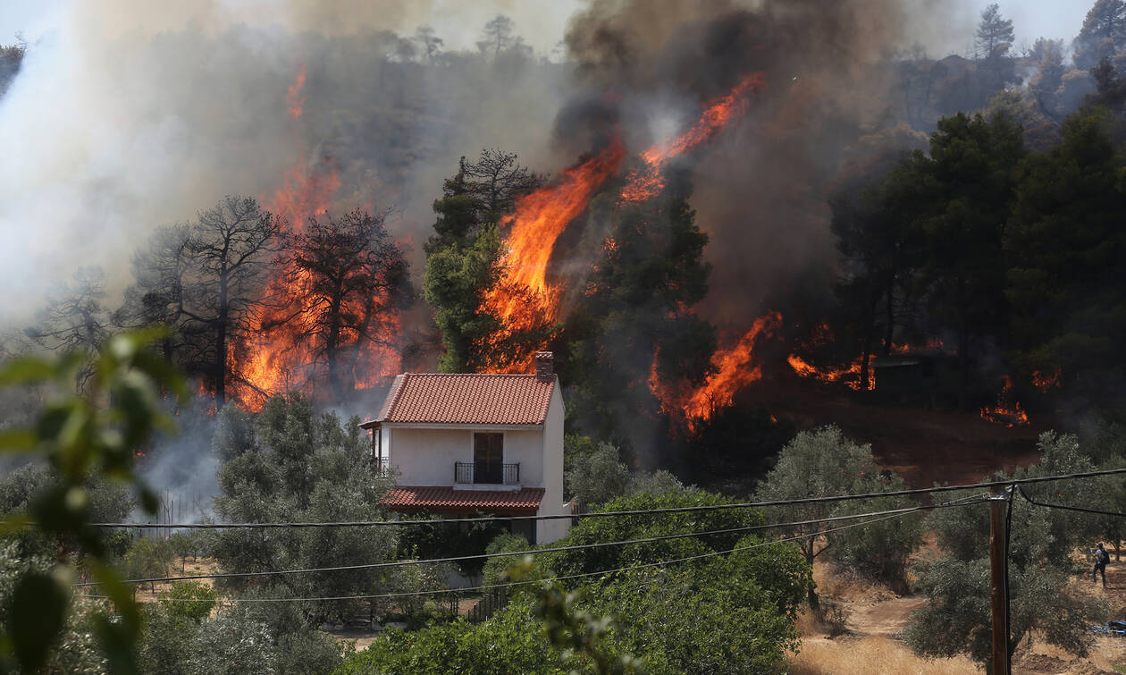 Φωτιά Εύβοια: Νέο πύρινο μέτωπο – Συναγερμός για τις συνεχείς αναζωπυρώσεις - Newsbomb - Ειδησεις - News