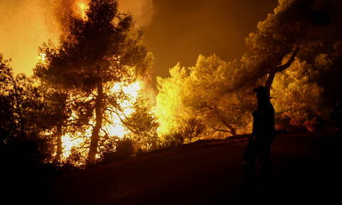 Φωτιά Εύβοια: Δεύτερη νύχτα αγωνίας - Ενισχύονται οι πυροσβεστικές δυνάμεις