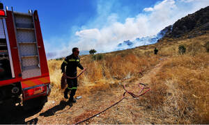 Φωτιά ΤΩΡΑ: Πυρκαγιές σε Θεσπρωτία, Κέρκυρα, Καβάλα και Θεσσαλονίκη