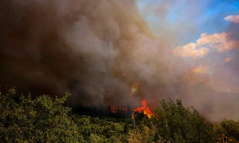 Μεγάλη φωτιά στη Φωκίδα: Επί ποδός οι Αρχές - Εν αναμονή εντολής για εκκένωση (pics&vid)