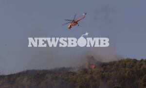 Φωτιά Νέα Μάκρη: Εικόνες από τον πύρινο εφιάλτη – Όσα κατέγραψαν οι ρεπόρτερ του Newsbomb.gr